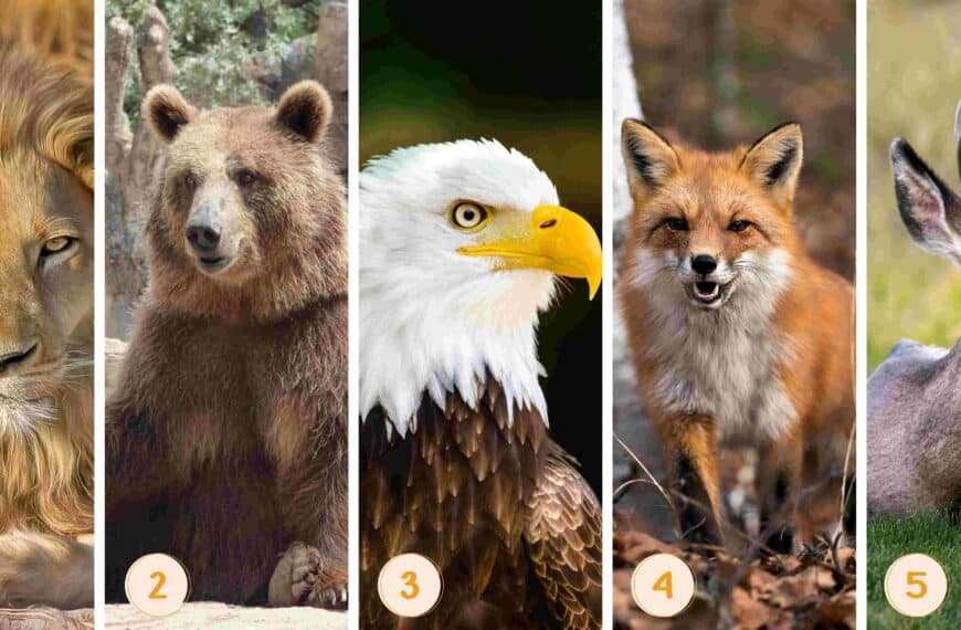 Test della personalità: quale animale ti somiglia? Scegli tra queste 5 creature e rivela i tratti unici del tuo carattere!