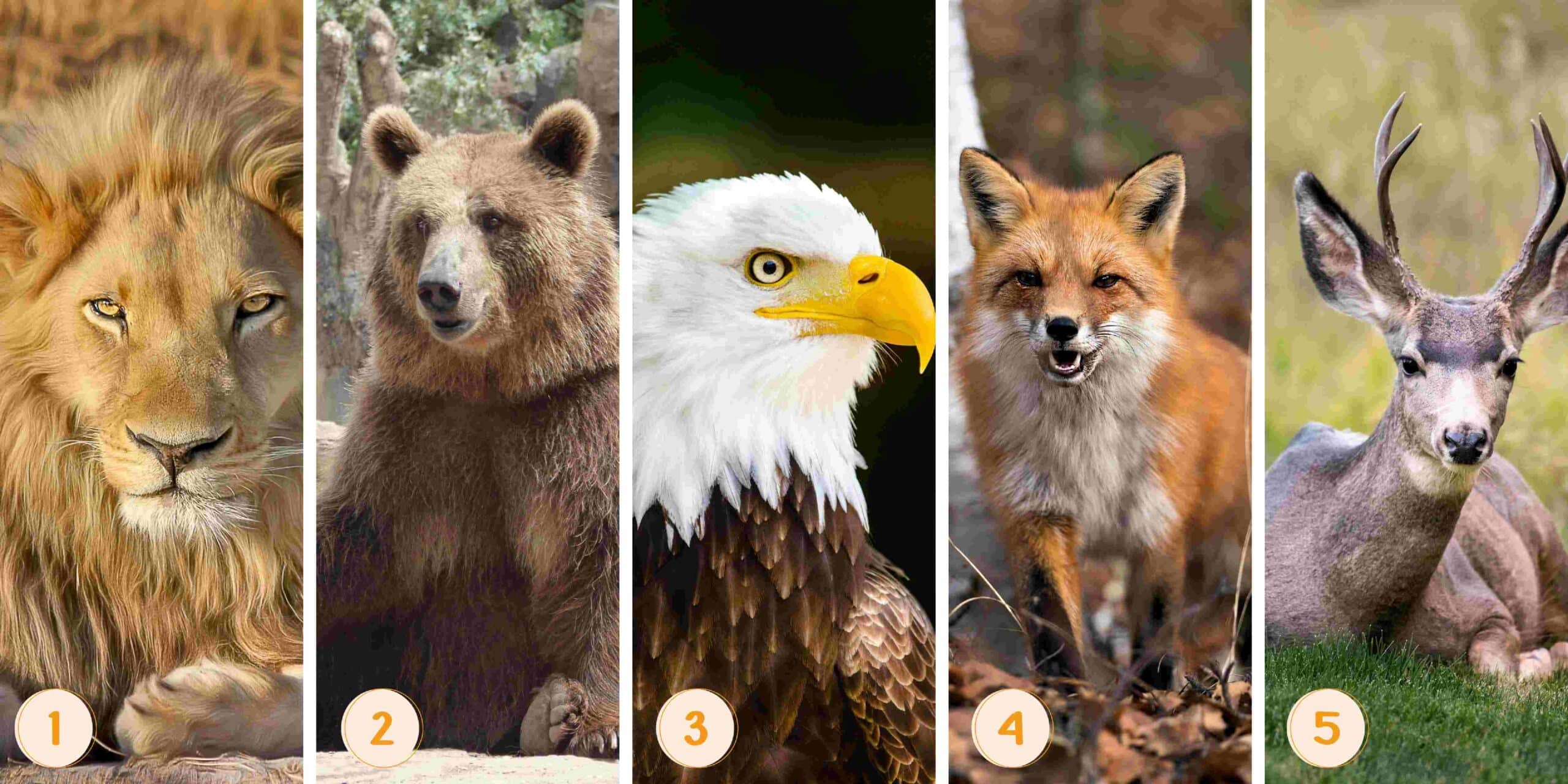 Test della personalità: quale animale ti somiglia? Scegli tra queste 5 creature e rivela i tratti unici del tuo carattere!